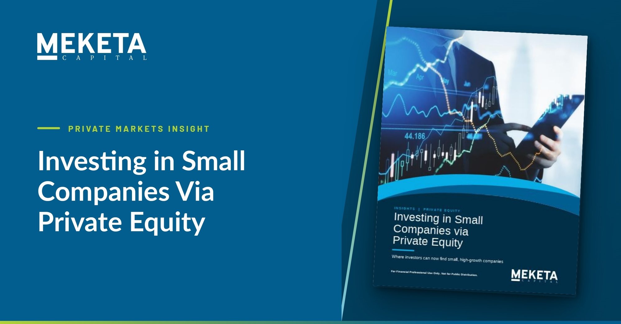Investing in Small Companies Via Private Equity