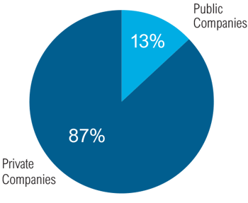Pie Chart_Number of Public Companies